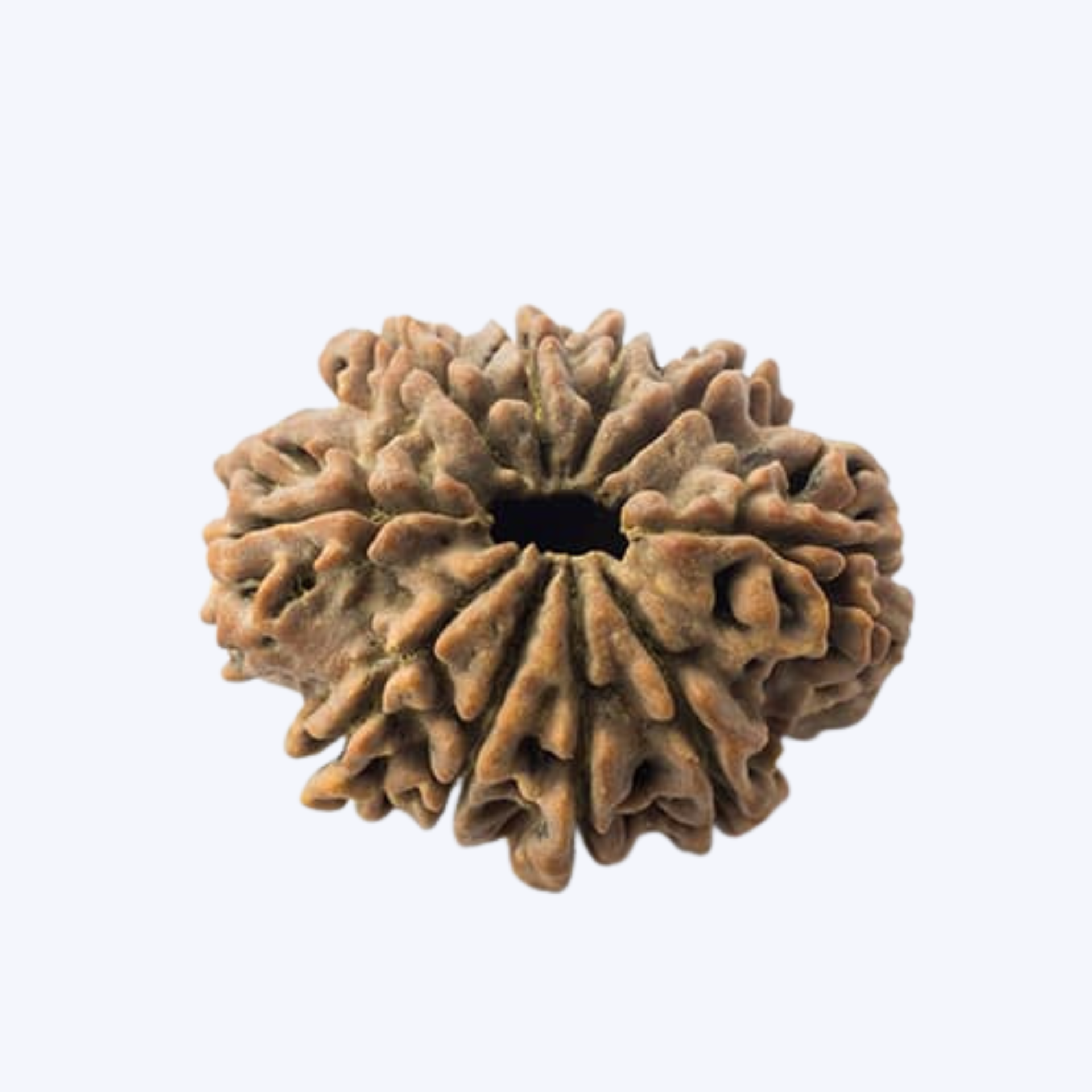 10 mukhi 2