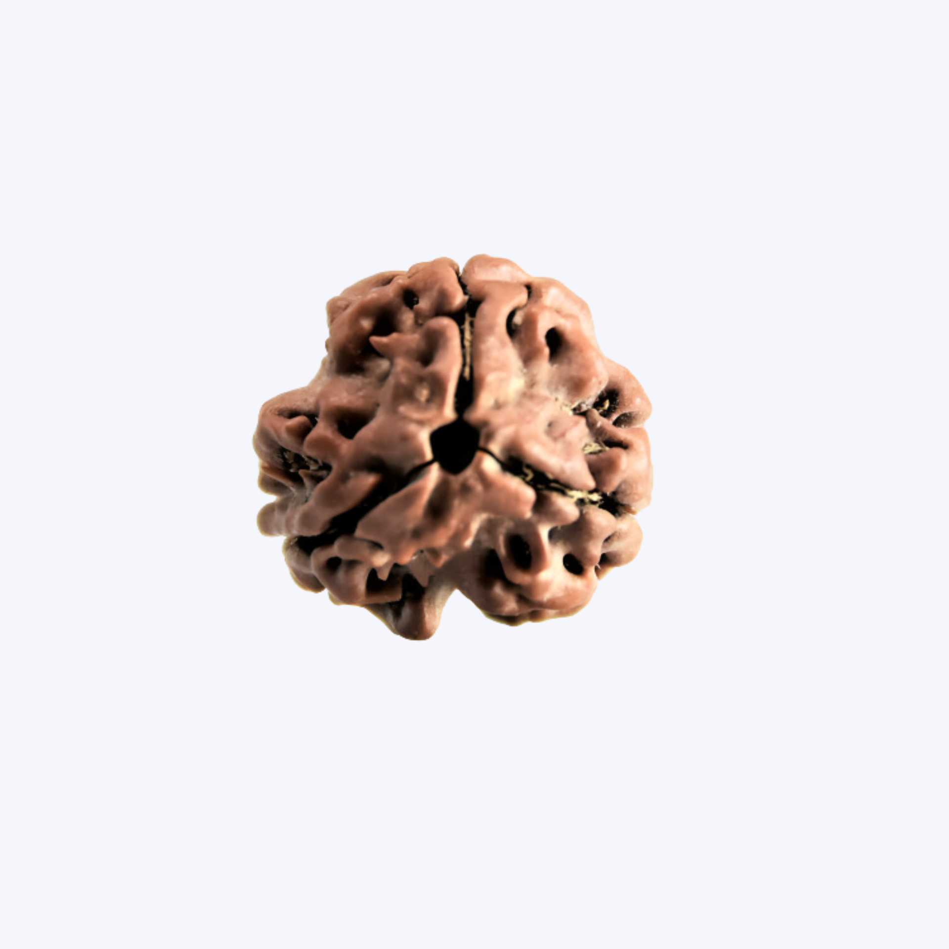 3 mukhi